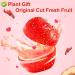Buy Dried Hawthorn Berries (Shaanzha) - 80g Plant Gift for Health Tea | International Shipping - Buy Online on SooperMarket.com