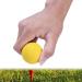 VANZACK Flexible Practice Golf Balls - 6 Pack PU Golfballs for Indoor and Outdoor Training - Buy Online on SooperMarket.com