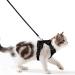 Cat dishes with a leash breakproof cat leash set adjustable soft kitten vest with reflective stripes breast dishes for small kitten (black XS) black XS