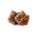 Premium Maple Sugar Hard Candy Drops Made from Pure Canadian Maple Syrup - Tristan Foods (1-lb) 453.59 g (Pack of 1)