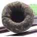 100g Aged Raw Puer Tea Green Tea Shen Puerh Tea Tuo with Tin Can Pack - Buy Online on SooperMarket.com