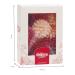 Edible Wafer Flowers for Cake Decoration - Dekozauber24 12 Pieces 6 Colors - Perfect for Cakes & Desserts - Buy Online on SooperMarket.com