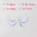 VNE 500 Colorful Lash Extensions - Premade Volume & Mega Fans - 14mm C Curl Purple 6D - Buy Online on SooperMarket.com