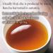 Hojicha Roasted Green Tea -Deep Roasted Loose leaf 100g/3.5oz -from JAPAN | Japanese Tea KIMIKURA - Buy Online on SooperMarket.com