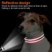 Buy Joytale Reflective Dog Collar for Large & XL Dogs - Red | Durable & Stylish (Pack of 1) - Buy Online on SooperMarket.com