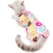 BT Bear Cat Professional Surgery Recovery Suits Cat Clothes for Abdominal Wounds or Skin Diseases After Surgery Wear Home Clothing L: back length 35cm Donuts - Buy Online on SooperMarket.com