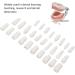DIY Kit for Artificial Teeth - 28-Part Durable Plastic Typodont for Teaching & Study | Removable Design - Buy Online on SooperMarket.com