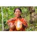Organic Ceremonial Grade Cacao 100% Raw and Pure Cocoa Criollo Variety From The Ashaninka Nomatsigenga Tribes and Farmers located in Satipo in the central rainforest of Peru. 1000g (1Kg) 1.00 kg (Pack of 1) - Buy Online on SooperMarket.com