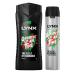 Lynx 12 Hour Refreshing Africa Shower Gel 500 with Lynx 72 Hour Fresh Anti-Perspirant 250ml Leaving you smelling great Dermatologically Tested Keep Smelling Irresistible!