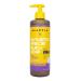 Alaffia Skin Care  Authentic African Black Soap  All in One Body Wash  Face Wash  Shampoo & Shaving Soap with Fair Trade Shea Butter  Wild Lavender 16 Fl Oz Wild Lavender 16 Fl Oz (Pack of 1)