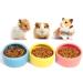 Ceramic Hamster Food Bowl DBAILY 3PCS Hamster Feeding Bowls Eating Basin Feeder Hedgehog Feeder Water Bowl Dish Holder for Guinea Pig Rodent Rat Gerbil Cavy