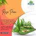 Sweet paan (Rose Paan) - Buy Online on SooperMarket.com