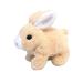 ZBATHTOY Rabbit Toys for 0-36 Month Jumping Rabbit Toys for Kids Age 2 3 4 5 Girls Boys Electronic Interactive Toys Gifts 1 2 3 Year Old Baby Teddy for Baby Boys Girls Birthday Present 2 3 4 5 Br