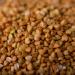 Bio Buckwheat 1.8 kg - Untreated Plastic-Free & Eco-Friendly | S ssundclever.de - European Cultivation - Buy Online on SooperMarket.com