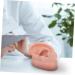 FOMIYES Silicone Human Ear Model for Piercing Teaching Display - Coffee 6.5x3.5cm - Buy Online on SooperMarket.com