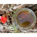 British Wild Countryside - Great Taste Award Winning - Pure and Natural British Honey/UK Honey (227g Glass jar) - Buy Online on SooperMarket.com