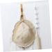 Cabilock 2pcs Transparent Hook Over The Door Wall Clothes Rack Door Coat Hanger Multi-Function Hook Back Door - Buy Online on SooperMarket.com