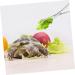 ORFOFE Reptile Feeding Clip Aquarium Pipette Feeding Tools Snake Tong Silver Stainless Steel - Buy Online on SooperMarket.com