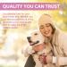PETSY Dog Vitamins & Supplements 20-in-1 Essential Multivitamins B2 B3 B6 B7 B12 Vit C Folic Acid Biotin Glucosamine Chondroitin Wild Alaskan Salmon oil Hemp Seed oil Probiotics Blend TUB OF POWDER - Buy Online on SooperMarket.com