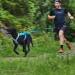 Non-stop Dogwear Bungee Leash LTD - 2m Canicross Leash for Dogs | Blue | International Shipping - Buy Online on SooperMarket.com