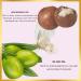 HASK Moisturizing Conditioner with Macadamia Oil - 355ml | Color-Safe Animal Test-Free Ideal for All Hair Types - Shop Now! - Buy Online on SooperMarket.com