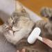 Premium Cat Brush & Undercoat Comb | Remove Mats & Reduce Shedding | Healthy Fur Massage Kit for Cats - Buy Online on SooperMarket.com