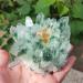 Natural Stone 300-1000g Garden Cluster Natural Green Ghost Quartz Ore raw Gemstone SpecimenHome Decor (Size : 900-1000g) HOMEZHOU (Size : 1.1 1.2kg) - Buy Online on SooperMarket.com