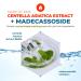 A'PIEU Madecassoside Ampoule 1.01oz (30ml) - Centella Asiatica & Madecassoside Serum for Sensitive Skin | Intensive Soothing & Deep Moisture - Buy Online on SooperMarket.com