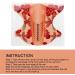 Long Nail Forms Self Adhesive Nail Art Extension Guide Home Salon - Buy Online on SooperMarket.com