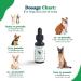 Pet Standards Organic Hemp Oil for Dogs & Cats (1 oz) | Made in USA, Calming Joint & Pain Relief, THC-Free, 3rd Party Tested - Buy Online on SooperMarket.com