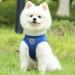 Buy Reflective Soft Padded Dog Harness & Cat Dishes for Small Dogs - Air-Mesh Leash Included | Perfect Fit for Puppies & Cats (Chest 29-33cm) - Blue - Buy Online on SooperMarket.com
