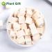 Buy 100% Natural Poria Cocos 200g - Premium Fu Ling Medicinal Herb from China - Dried Bulk for Health Benefits - Buy Online on SooperMarket.com