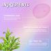 Acne Patches with Natural Green Algae & Tea Tree Oil | Hydrocolloid Treatment for Zits Pimples & Blemishes - Fast International Shipping - Buy Online on SooperMarket.com