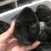 Specimen Healed 380-400g Natural Crystal Tortoise Shell Stone raw Stone Crystal As a Gift FZUGEDRLI - Buy Online on SooperMarket.com
