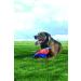 Buy Chuckit! Flying Squirrel M Double Pack - 2x1 Piece | Durable & Lightweight Dog Toys | 35 cm | Water-Resistant | International Shipping Available - Buy Online on SooperMarket.com