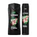 Lynx 12 Hour Refreshing Africa Shower Gel 500 with Lynx 48 Hour Fresh Body Spray 250ml Leaving you smelling great Dermatologically Tested Keep Smelling Irresistible!