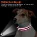 Joytale Reflective Dog Collar for Small Dogs - Hotpink S | Durable Stylish & Safe - Buy Online on SooperMarket.com