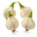 Acrylic Dish Towel 4pcs Anti-Grease Garlic Shape Dish Cloth Non-Scratch Dish Scrubber Kitchen Cleaning Wiping Rag