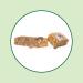 Iron Vegan Sprouted Protein Bar - Peanut Chocolate Chip Peanut Choc. Chip 62g/12 - Buy Online on SooperMarket.com