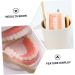Shop Healvian 3 Sets Early Dental Education Toys - Wooden Denture Model for Kids | Reusable Toiletries - Buy Online on SooperMarket.com