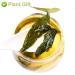 Organic Stevia Leaf Sweet Tea | Herbal Tea | 20g Plant Gift for Health - Buy Online on SooperMarket.com