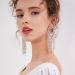 Missgrace Dainty Rhinestones Tassel Long Earrings Set - Silver Layered Dangle Hoop Studs for Women & Girls - Buy Online on SooperMarket.com