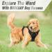 BARKBAY No Pull Dog Harness for Large Dogs - Reflective, Heavy Duty, Easy Control Handle - Chest Size 27-32 inches - Black - Buy Online on SooperMarket.com