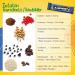 RAWBERRY Peanut & Chocolate Protein Bar | Vegan Gluten-Free No Added Sugar | 15x33g Nut Snack for Healthy Living - Buy Online on SooperMarket.com
