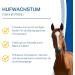Nutrilabs Hoof Support Pellets 3 KG - Premium Dietary Supplement for Horse Hoof Care with Biotin & MSM | Enhance Equine Health - Buy Online on SooperMarket.com
