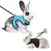 Soft rabbits dishes with leash 2 pieces of mesh rabbits dishes kitten pet pet dishes adjustable soft rabbit dishes with elastic pet jogging dishes leash