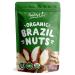 Raw Brazil Nuts, 8 Ounces  Non-GMO Verified, Unsalted, Unroasted, Kosher, Vegan, Keto and Paleo Friendly, Bulk, Good Source of Selenium, Great as a Trail Mix Snack