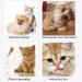 AWAVM 5 PCS Cat Teasers Cat Feather Wand Cat Toy Interactive Toy Feather Wand with Bell Natural Feather Refills - Buy Online on SooperMarket.com