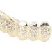 Hip Hop Teeth Set Convenient Hip Hop Teeth Brace for Women for Men for Birthday for Hip Hop Fashion Shows for Halloween Party(gold) - Buy Online on SooperMarket.com