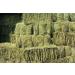 Shorefields Fresh Meadow Hay - Animal Feeding Hay Bale for Rabbits Guinea Pig Horses Hamsters Ponies - Nutritious Grasses & Wildflowers Blend - Green & Dust Free